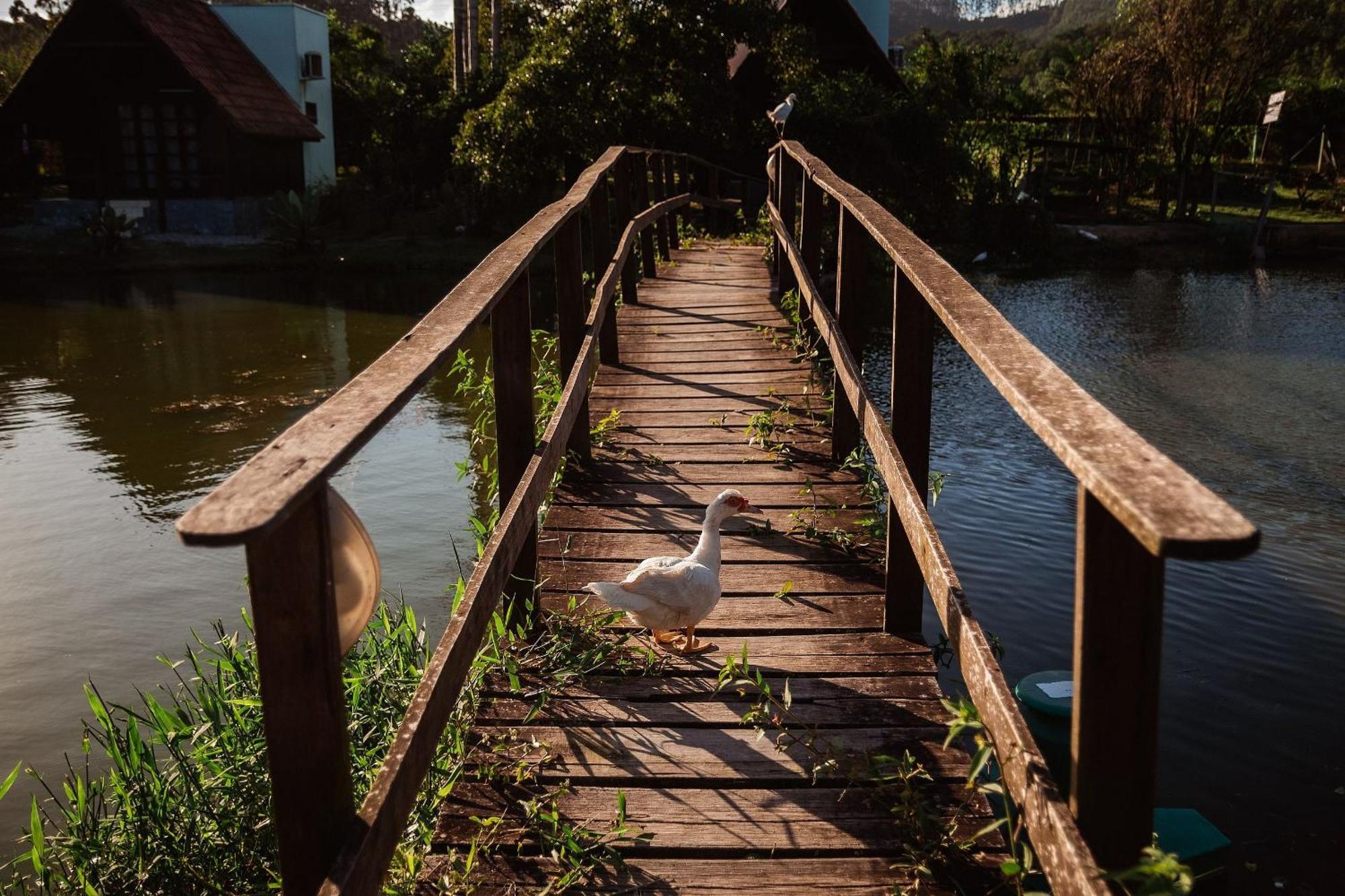 Pousada Sestrem - Sao Joao Batista - Sc Exterior foto