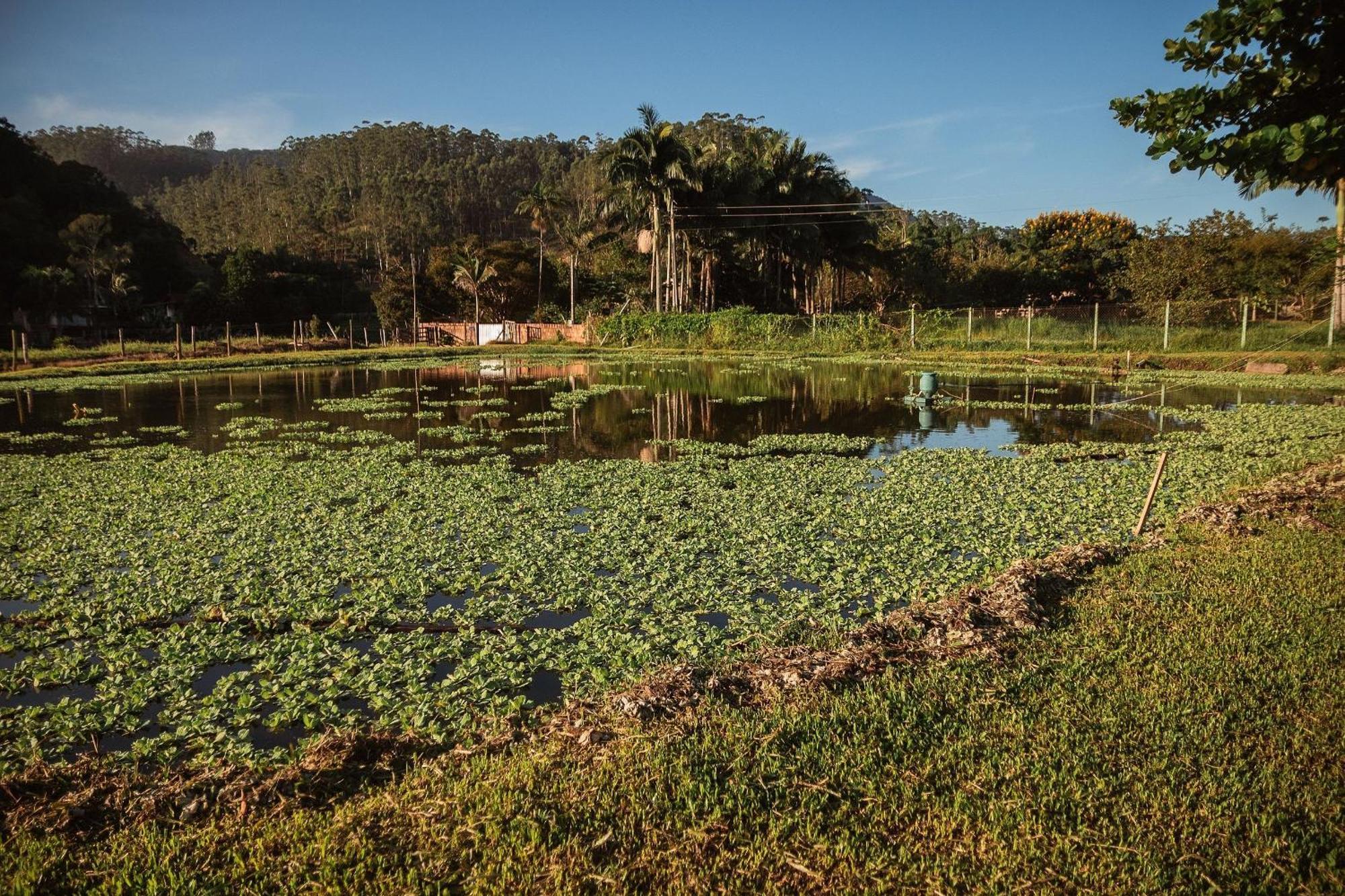 Pousada Sestrem - Sao Joao Batista - Sc Exterior foto